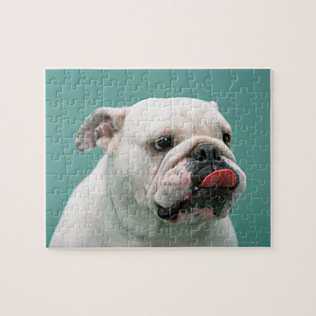 Bulldog Jigsaw Puzzle (Horizontal)