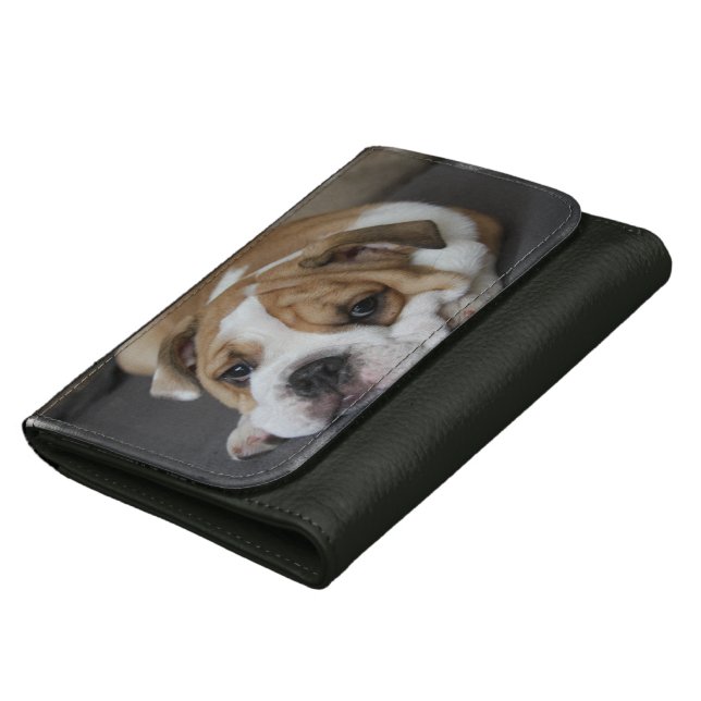 Bulldog Leather Wallet For Women (Bottom)