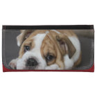 Bulldog