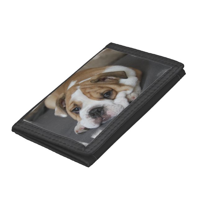 Bulldog Leather Wallet For Women (Bottom)