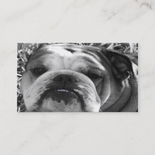 bulldog love business card