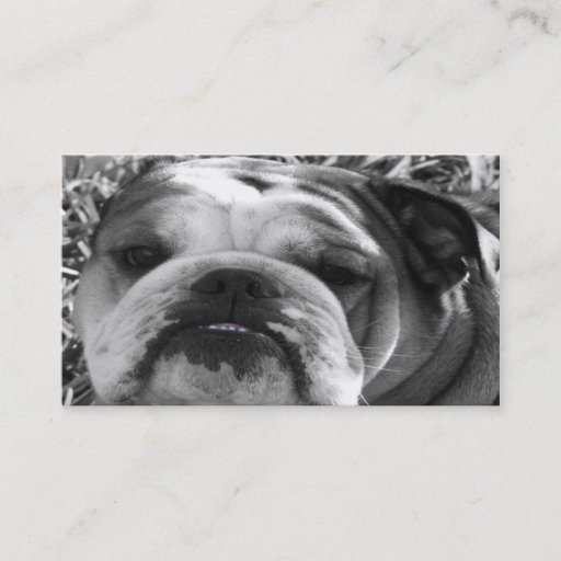 Customizable bulldog love business card