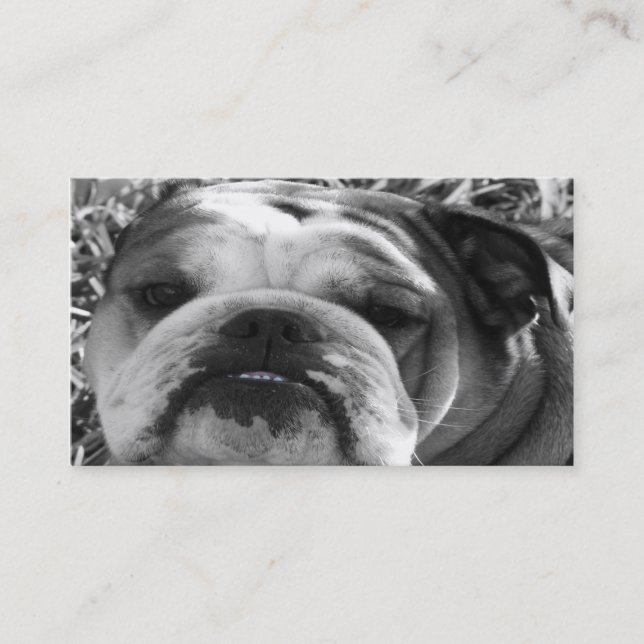 bulldog love business card (Front)