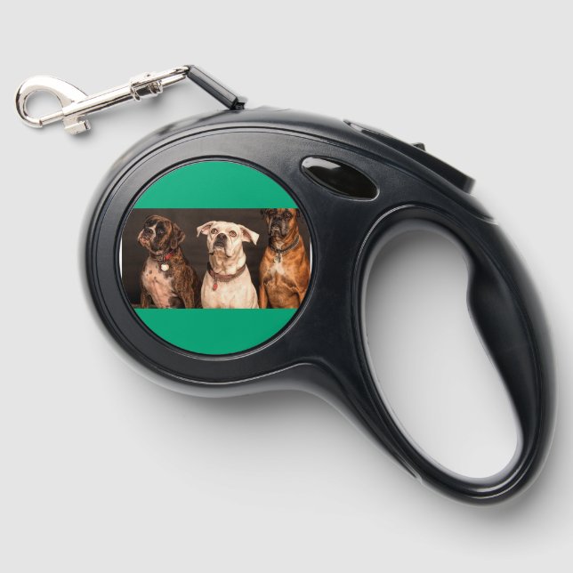 Bulldog Love, Green Background & "Love You X" Retractable Pet Leash (Front)