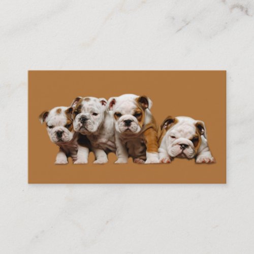 Bulldog Lover Business Card
