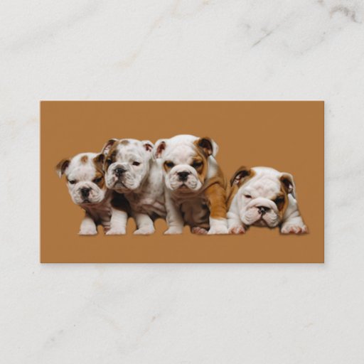 Customizable Bulldog Lover Business Card
