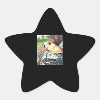 Bulldog Lovers Gifts | Sadly Dog Design Star Sticker