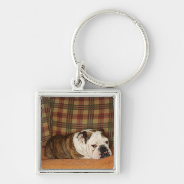 bulldog lying on a sofa keychain (Front)