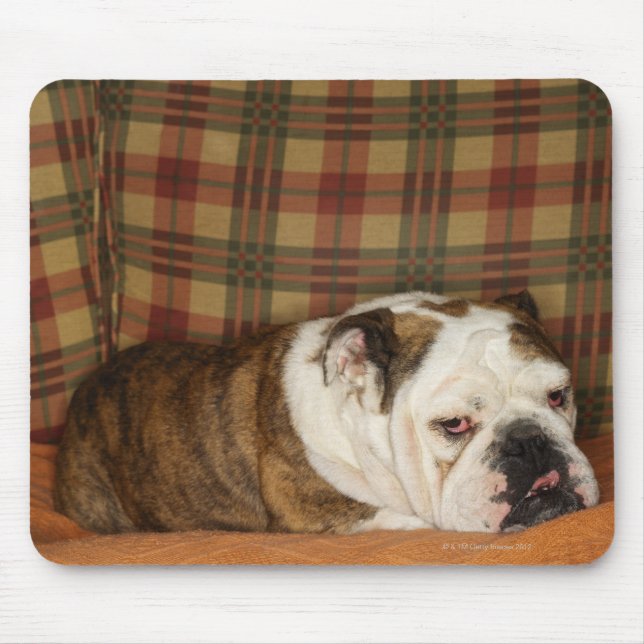 bulldog lying on a sofa mouse pad (Front)