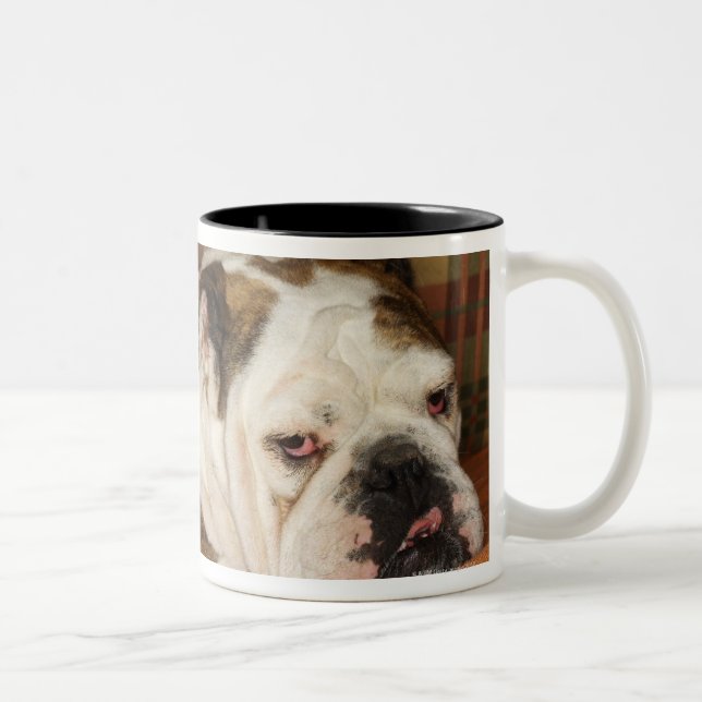 bulldog lying on a sofa Two-Tone coffee mug (Right)