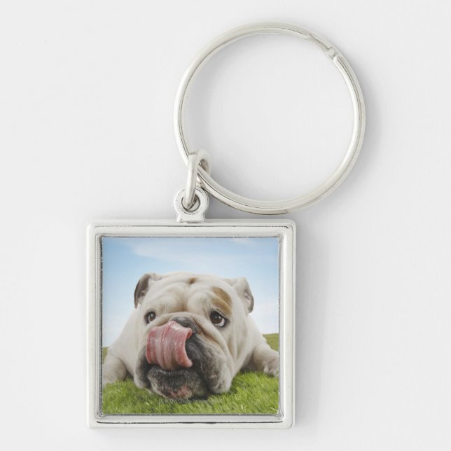 Bulldog Lying on Grass Licking Lips Keychain (Front)