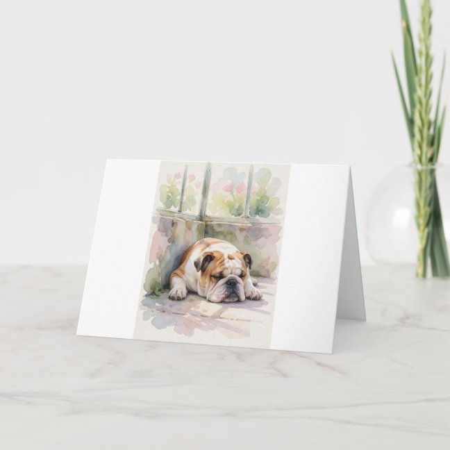 Bulldog Collection — preview