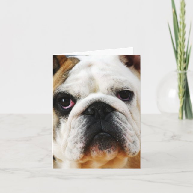 Bulldog Note Card (Front)