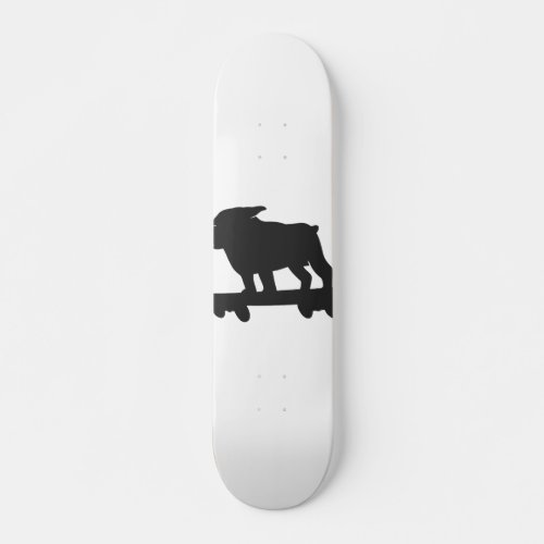 Bulldog on a skateboard _ Choose background color