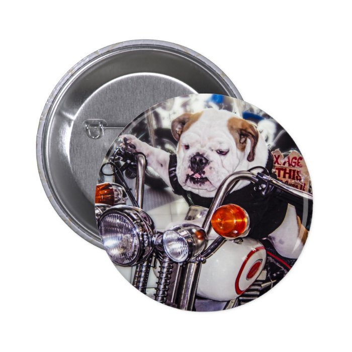 Bulldog on Motorcycle Buttons