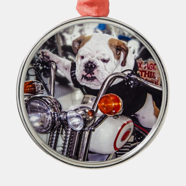 Bulldog on Motorcycle Metal Ornament (Front)
