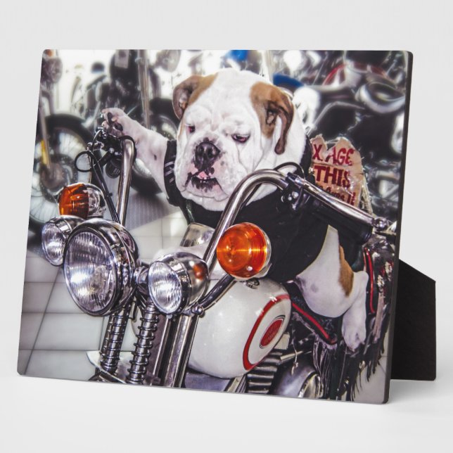 Bulldog on Motorcycle Plaque (Side)