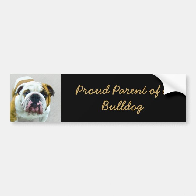 Bulldog Painting - Cute Original Dog Art Bumper Sticker (Front)