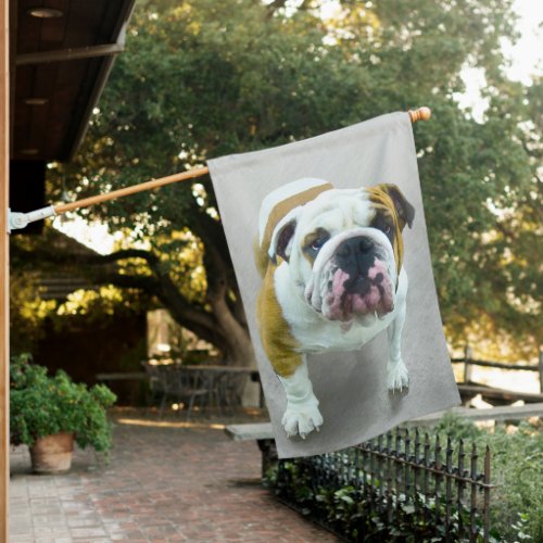 Bulldog Painting _ Cute Original Dog Art House Flag