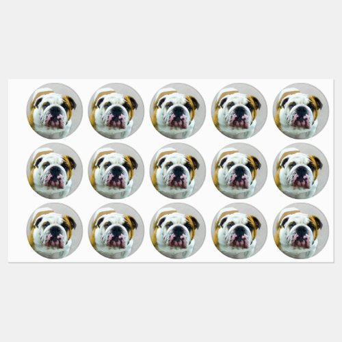 Bulldog Painting _ Cute Original Dog Art Labels