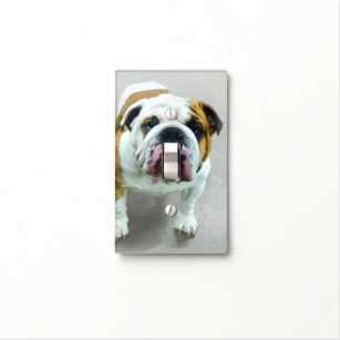 Bulldog Painting - Cute Original Dog Art Light Switch Cover