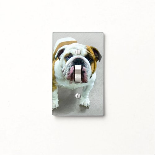 Bulldog Painting _ Cute Original Dog Art Light Switch Cover