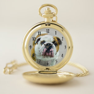 Bulldog Painting - Cute Original Dog Art Pocket Watch