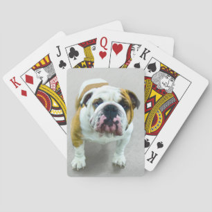 Bulldog Painting - Cute Original Dog Art Poker Cards
