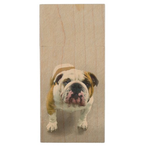 Bulldog Painting _ Cute Original Dog Art Wood Flash Drive