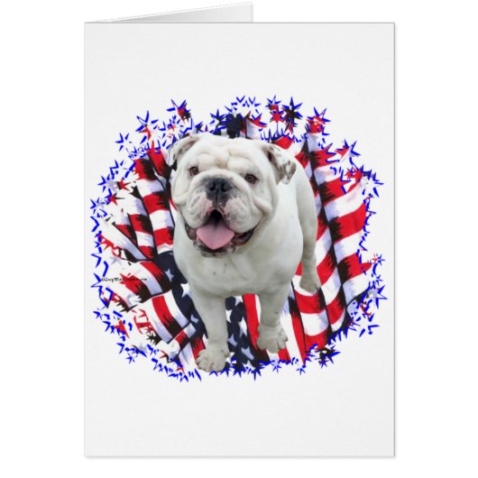 Bulldog Patriot (Front)
