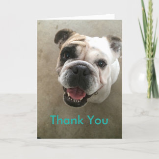 Bulldog pet sitter thank you card