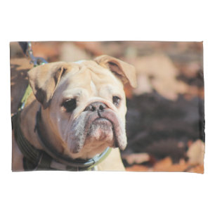 Bulldog Pillow Case