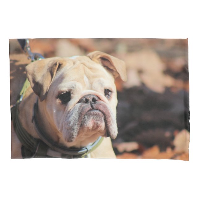 Bulldog Pillow Case (Front)