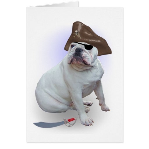 Bulldog pirate card | Zazzle