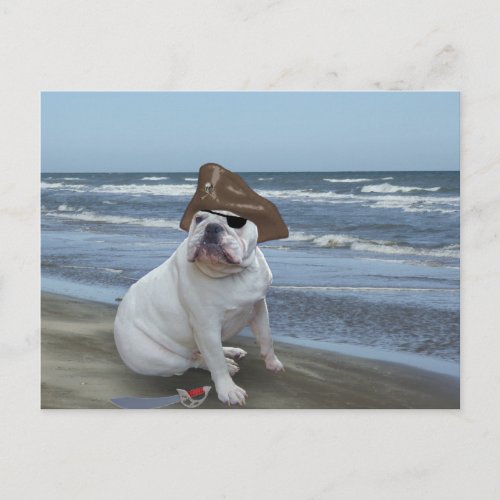 Bulldog Pirate on the beach Postcard