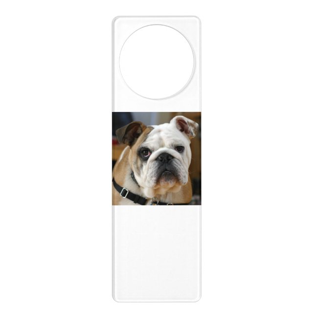 Bulldog.png Door Hanger (Front)