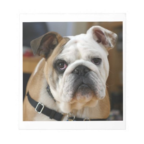 Bulldogpng Notepad