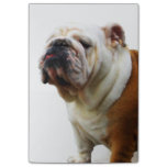 Bulldog Post-it Notes