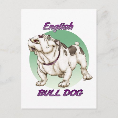 bulldog postcard