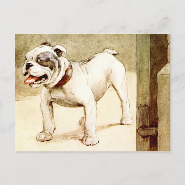 Bulldog Postcard (Front)