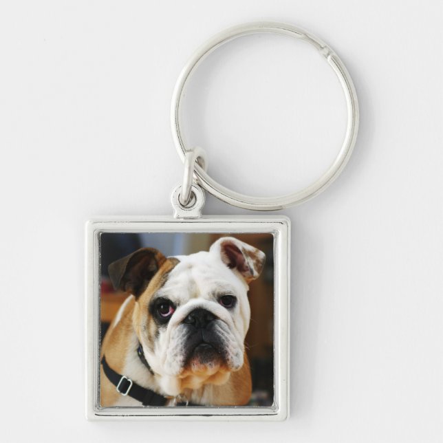 Bulldog Premium Keychain (Front)