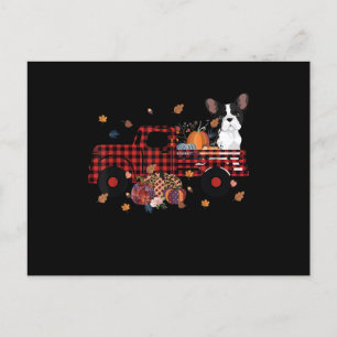 Bulldog Pumpkin Truck Thanksgiving Halloween Gift Holiday Postcard
