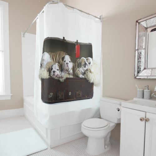 Bulldog Puppies In Suitcase Cute Bulldog Puppy Shower Curtain