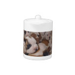 Bulldog Puppies Teapot