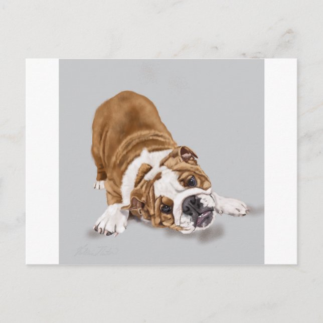 Bulldog Puppy at Play Postcard (Front)