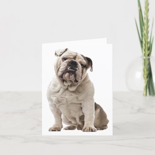 Bulldog Puppy Dog Love Hello Thinking of You Card