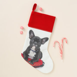 Bulldog Puppy Dog Personalizable Photo Christmas Stocking