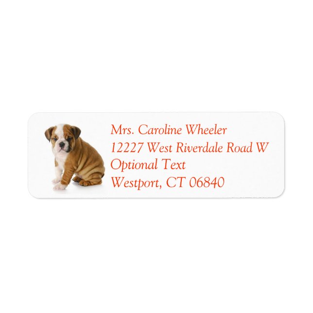 Bulldog Puppy Dog Return Address Name Label (Front)