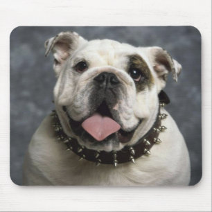 Bulldog Puppy Dog With Spike Collar Mousepad