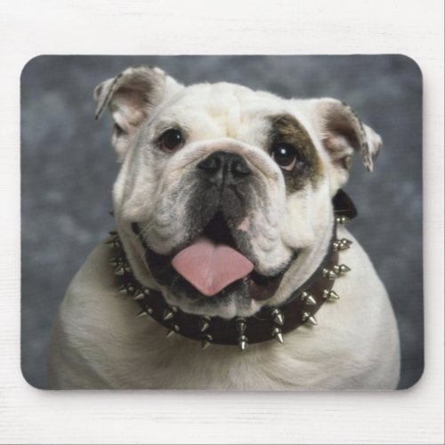 Bulldog Puppy Dog  With Spike Collar Mousepad
